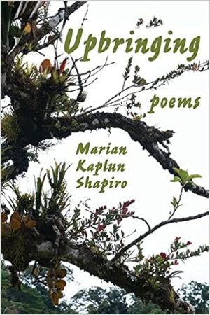 Upbringing poems by Marian Kaplun Shapiro