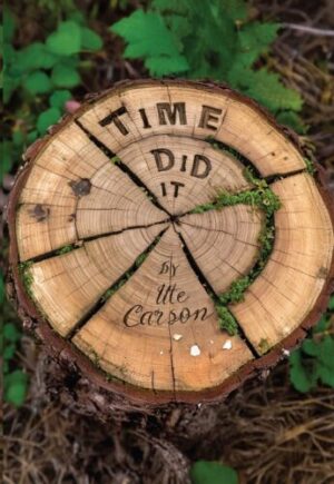 Time Did It: a Family Saga by Ute Carson Front Cover