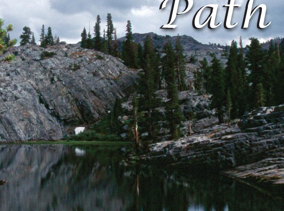 Second Edition Release: The Rescurer’s Path by Paula Friedman